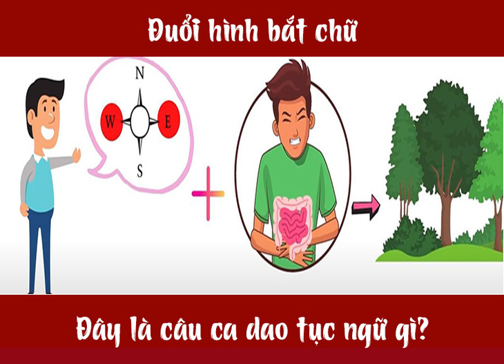 Câu ca dao, tục ngữ hóc búa này là gì? (P3) - Ảnh 4.