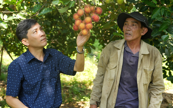 Về Ninh Thuận dự lễ hội trái cây 