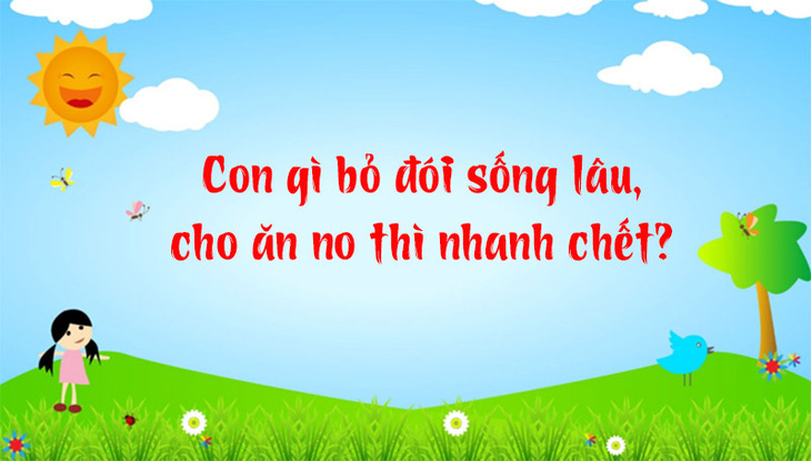 Câu đố hack não: Con gì bỏ đói sống lâu, ăn no thì chết? - Ảnh 1.