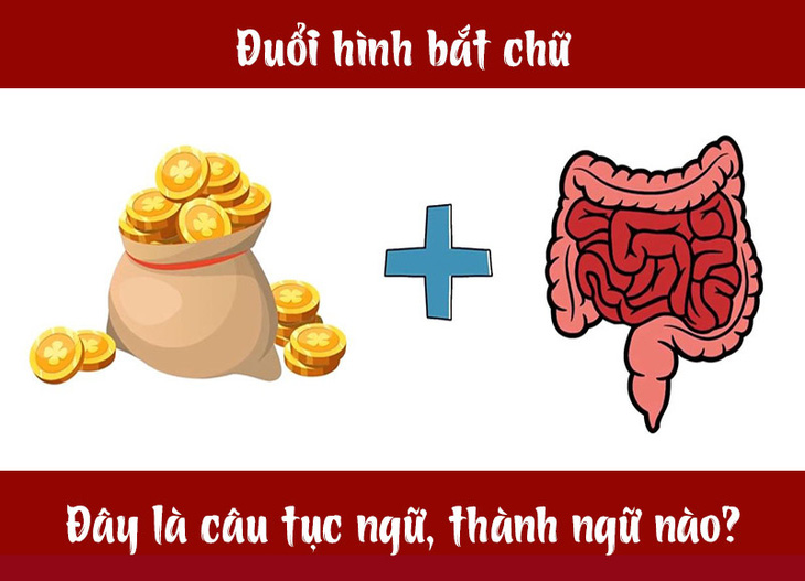 Câu tục ngữ, thành ngữ khó nhằn này là gì? (P32) - Ảnh 7.