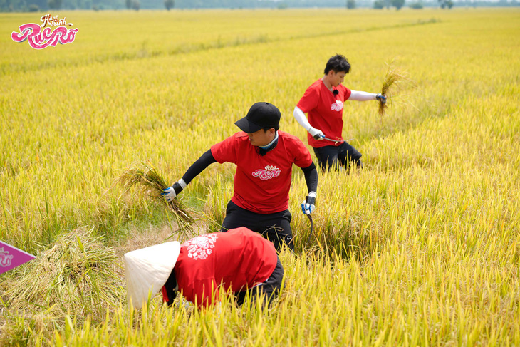 Đội Trường Giang, Isaac, Bích Phương về đích trước với số lúa thu hoạch được là 10,5kg.