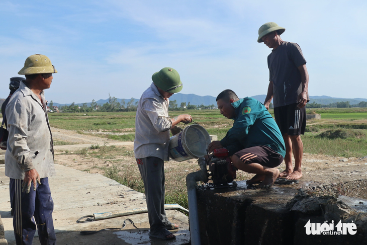 Người dân đội nắng mang máy bơm dã chiến ra đồng để cứu lúa - Ảnh: DOÃN HÒA