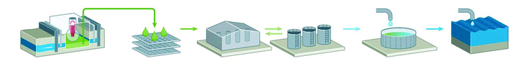 Quy trình xử lý nước nhiễm xạ ở Nhà máy điện hạt nhân Fukushima Daiichi. Nguồn: NewScientist