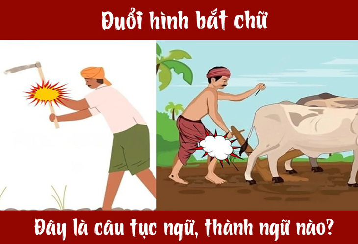 Câu tục ngữ, thành ngữ 'khó nhằn' này là gì? (P38) - Ảnh 1.