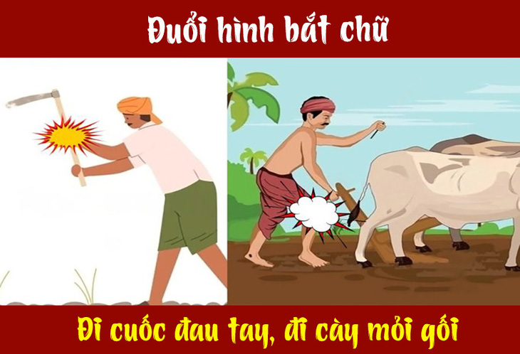 Câu tục ngữ, thành ngữ 'khó nhằn' này là gì? (P38) - Ảnh 1.