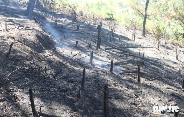 Theo chính quyền địa phương, ước tính ban đầu có khoảng 10ha rừng bị cháy - Ảnh: DOÃN HÒA