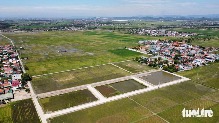 Khu đất đấu giá gồm 56 lô tại xã Quỳnh Hưng, huyện Quỳnh Lưu, Nghệ An - Ảnh: DOÃN HÒA