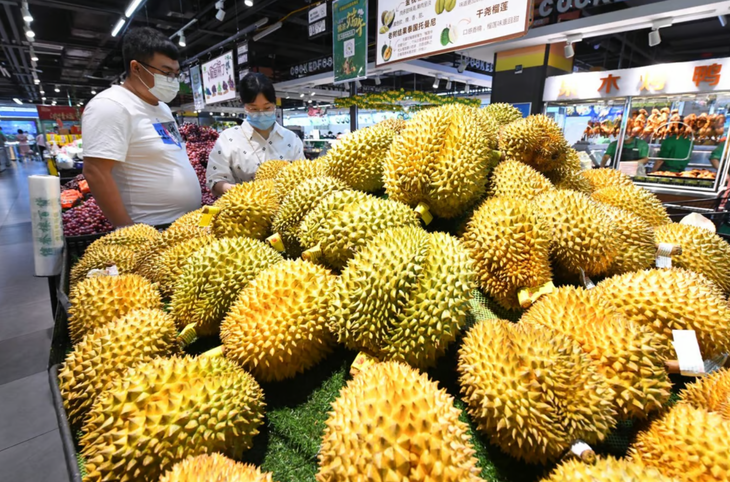 Dân Trung Quốc mua sầu riêng làm quà cưới