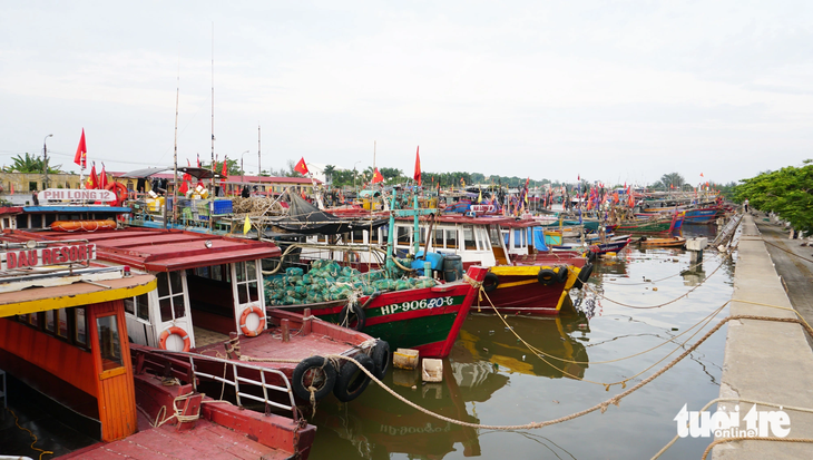 Tại bến cảng Ngọc Hải, hàng trăm tàu thuyền neo đậu ngay ngắn trong âu tàu để tránh bão - Ảnh: TIẾN THẮNG