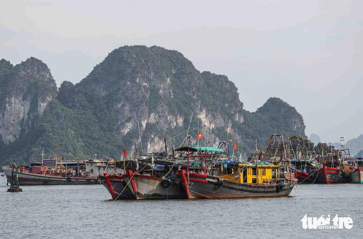 Tại Quảng Ninh, hơn 6.000 tàu cá, trong đó có 231 tàu xa bờ, đã vào bờ an toàn - Ảnh: NGUYỄN KHÁNH