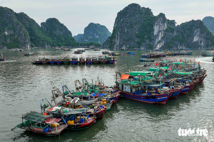 Tỉnh Quảng Ninh cho phép các tàu được chạy về nơi tránh trú và kết thúc công việc này trước 18h chiều 17-7 - Ảnh: NGUYỄN KHÁNH