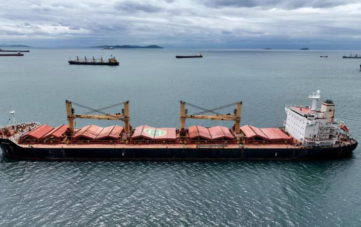Thỏa thuận cho phép các tàu thương mại xuất khẩu ngũ cốc và phân bón qua các cảng Biển Đen của Ukraine và eo biển Bosporus - Ảnh REUTERS