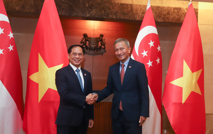Bộ trưởng Bộ Ngoại giao Bùi Thanh Sơn gặp Ngoại trưởng Singapore Vivian Balakrishnan (phải) - Ảnh: Bộ Ngoại giao cung cấp