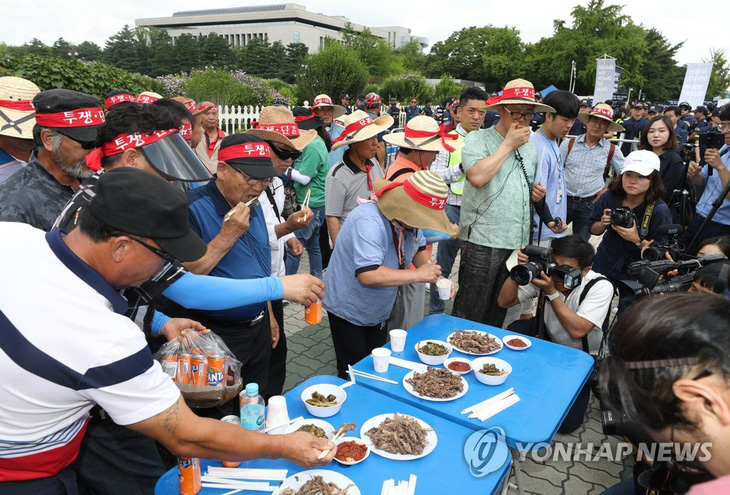 Những người dân Hàn mà phần lớn là người lớn tuổi đang trực tiếp &quot;thị phạm&quot; ăn thịt chó trên đường phố Seoul - Ảnh: YONHAP