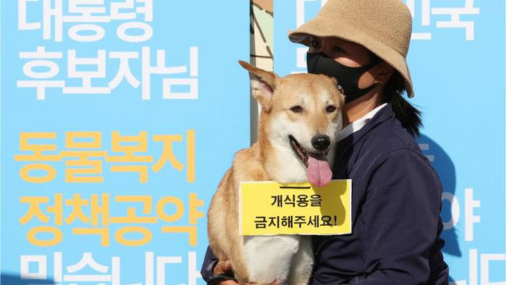 &quot;Cuộc chiến thịt chó&quot; lại &quot;nóng&quot; lên ở Hàn Quốc mỗi dịp hè về - Ảnh: BBC