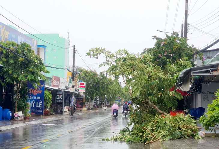 Mưa, dông làm đổ ngã cây xanh trên đường (thuộc địa bàn TP Rạch Giá, Kiên Giang) - Ảnh: CHÍ CÔNG
