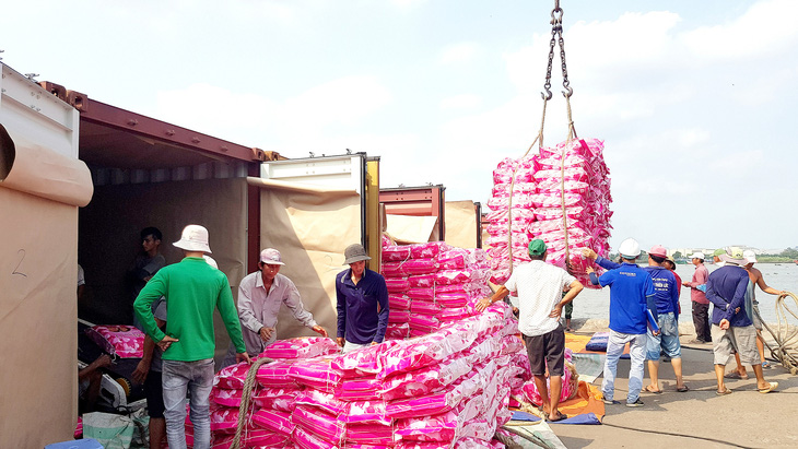 Công nhân cảng Mỹ Thới, TP Long Xuyên, An Giang đóng thùng container xuất khẩu gạo đi các nước châu Phi - Ảnh: B.ĐẤU