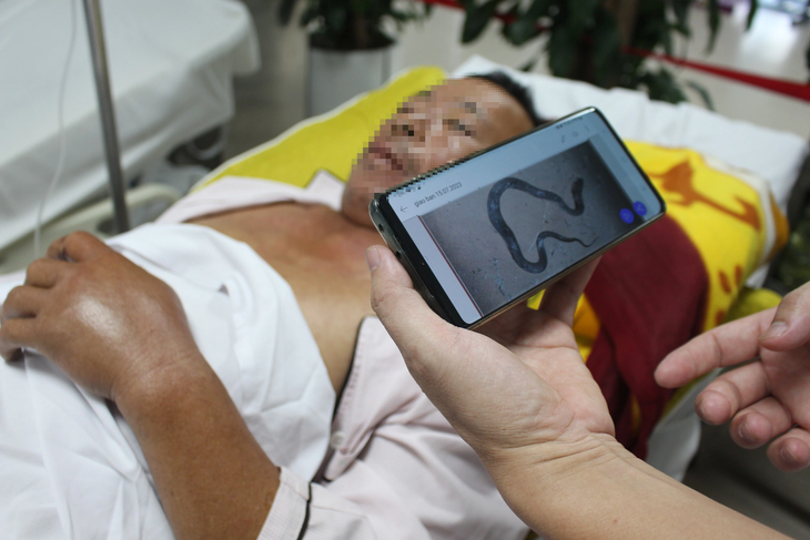Ông T. đang điều trị tại Bệnh viện Bạch Mai sau khi bị rắn hổ mang cắn - Ảnh: DƯƠNG LIỄU