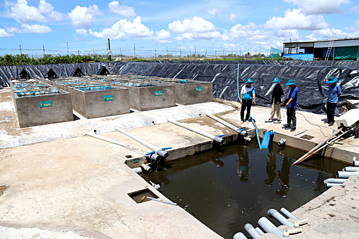 Khu gom nước về để xử lý tuần hoàn nước và khu xử lý chất thải tại xã Vĩnh Trạch, TP Bạc Liêu - ẢNH: CHÍ QUỐC