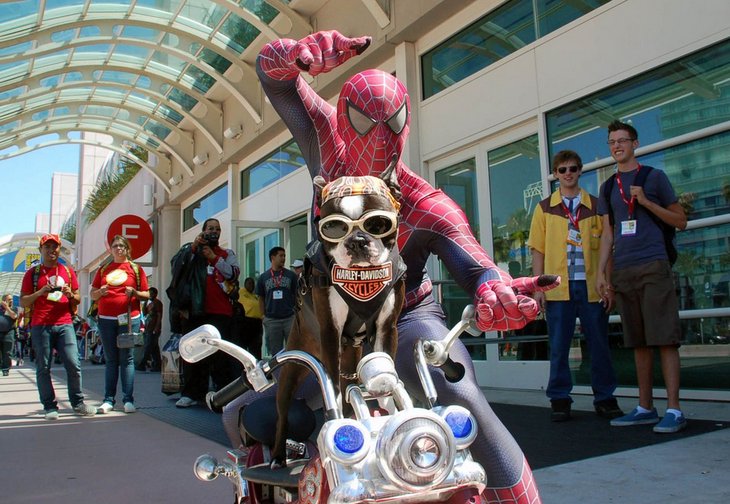 Chú chó trị liệu Chopper The Biker Dog thu hút mọi ánh nhìn khi xuất hiện tại San Diego Comic Con (Nguồn: FB Chopper The Biker Dog)