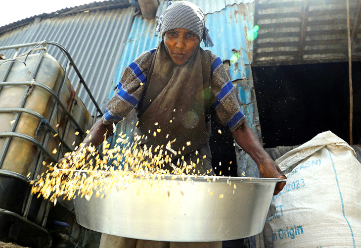 Một người dân Somalia sàng lúa mì nhập khẩu từ Ukraine tại khu chợ ngoài trời Bakara ở thủ đô Mogadishu, Somalia vào ngày 15-7 - Ảnh: Reuters