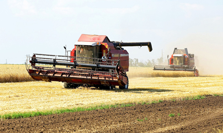 Máy thu hoạch lúa mì trên cánh đồng ở vùng Zaporizhzhia, đông nam Ukraine, vào ngày 4-7-2023 - Ảnh: Reuters