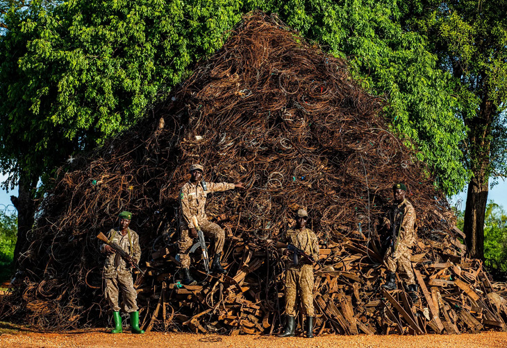 Những người kiểm lâm Uganda đang đứng bên “núi bẫy thú” tại vườn quốc gia Murchison Falls. Đống dây rợ là những gì họ thu được trong 12 tháng làm việc. Chúng là các bộ phận trong những chiếc bẫy voi, hà mã, sư tử cùng nhiều loài khác của những kẻ săn bắt thú trái phép - Ảnh: UGANDA CONSERVATION FOUNDATION