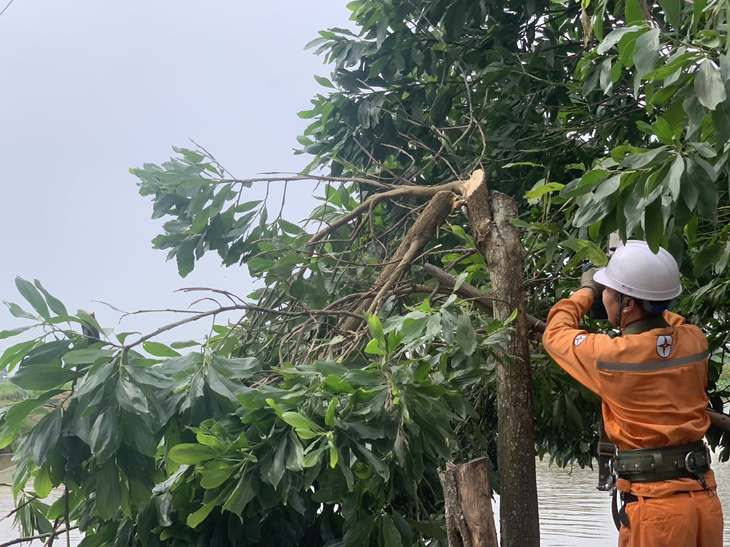 PC Ninh Bình khẩn trương chặt, tỉa các cành cây có nguy cơ đổ, gãy vào hành lang lưới điện - Ảnh: EVNNPC