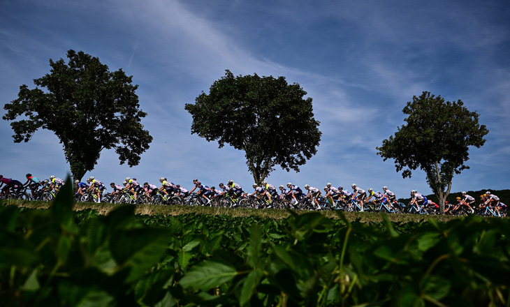 Các tay đua trong chặng 18 của giải đua xe đạp Tour de France lần thứ 110, dài 184km giữa Moutiers và Bourg-en-Bresse, trên dãy núi Alps của Pháp, ngày 20-7 - Ảnh: AFP