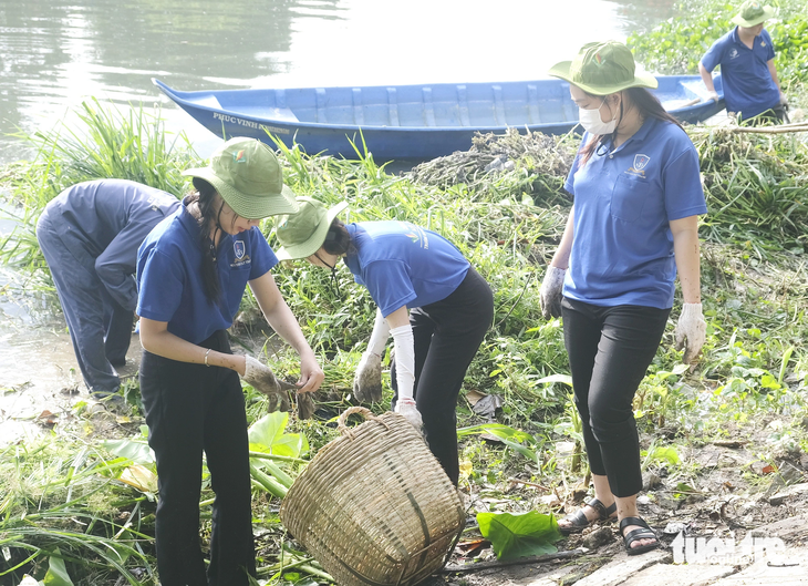 Đồng loạt ra quân thực hiện Ngày Chủ nhật xanh lần thứ 4 năm 2020  Tuổi  trẻ Bình Định Tỉnh đoàn Bình Định Hội LHTN Việt Nam tỉnh Bình Định Hội