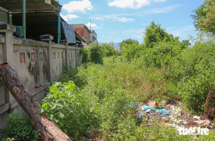 Một số nhà dân cạnh tường rào bao quanh khu vực tháp vứt rác sinh hoạt vào trong khuôn viên tháp - Ảnh: DUY NGỌC