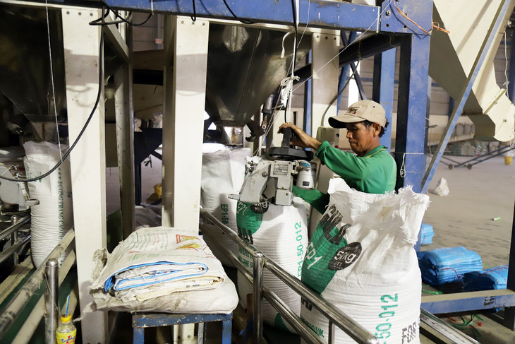 Chế biến gạo cao cấp xuất khẩu tại một nhà máy ở huyện Phú Tân, tỉnh An Giang - Ảnh: CHÍ QUỐC