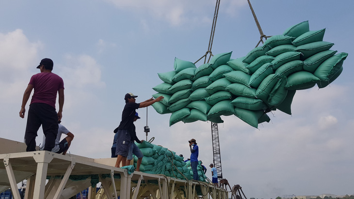 Công nhân cảng Mỹ Thới,TP Long Xuyên, An Giang đóng thùng container gạo xuất khẩu - Ảnh: BỬU ĐẤU