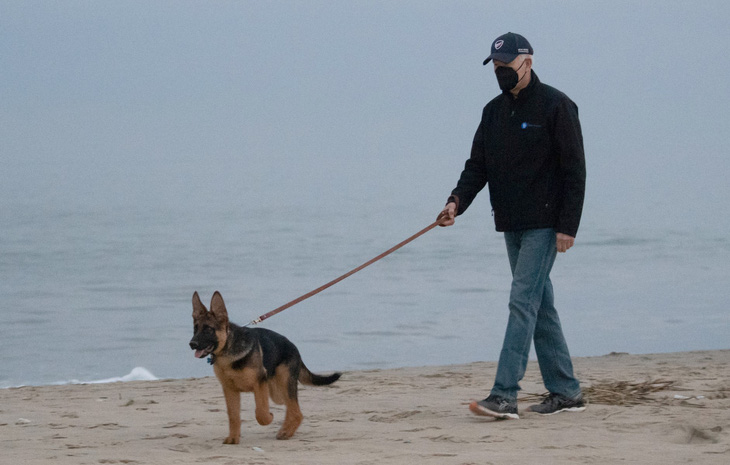 Tổng thống Mỹ Joe Biden dắt chú chó Commander đi dạo ở Delaware năm 2021 - Ảnh: AFP