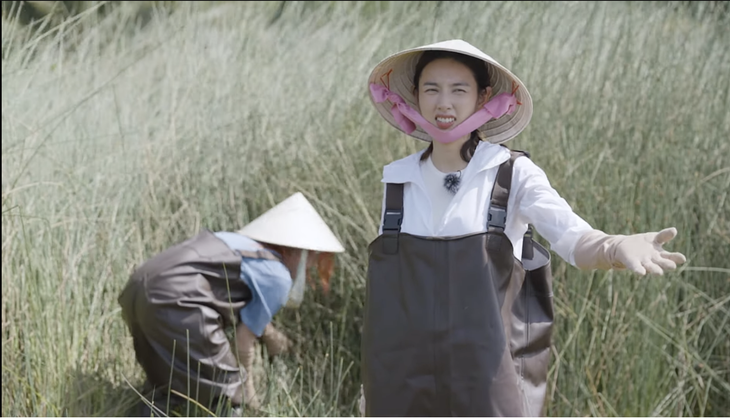 Hoa hậu Thùy Tiên trải nghiệm công việc của nông dân cắt cỏ bàng