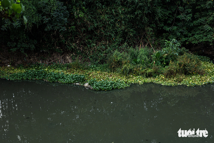 Có nhiều đoạn kênh thủy lợi Bắc Hưng Hải bị bồi lắng, lấn chiếm lòng sông gây nên ách tắc dòng chảy