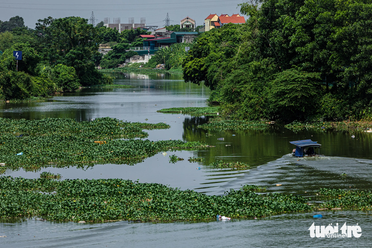 Bị “đầu độc” trong suốt nhiều năm khiến vùng hạ lưu của kênh thủy lợi cũng đang bị ô nhiễm nghiêm trọng (ảnh chụp tại cầu Sặt, huyện Bình Giang, Hải Dương)