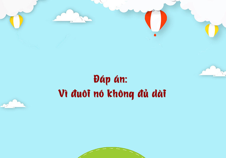 Câu đố hack não: Cái gì con gái có nhiều hơn phụ nữ? - Ảnh 1.