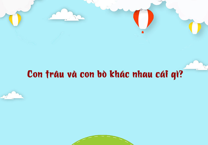 Câu đố hack não: Con trâu và con bò khác nhau cái gì? - Ảnh 1.