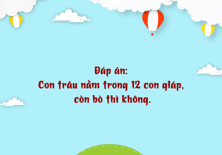 Câu đố hack não: Con trâu và con bò khác nhau cái gì? - Ảnh 1.