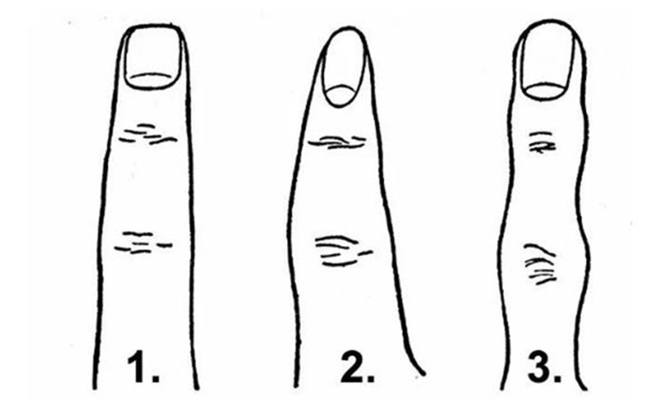 Hình dạng ngón tay nói gì về tính cách của bạn - Ảnh 1.