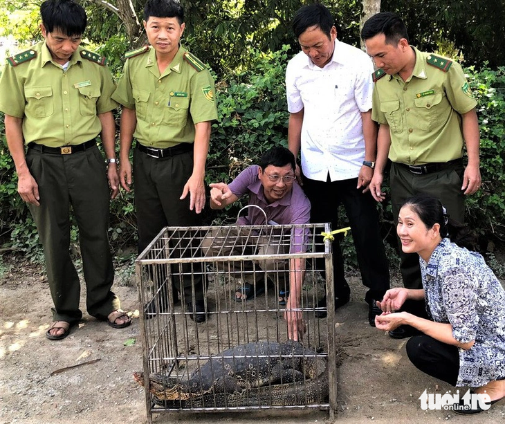 Lực lượng kiểm lâm bàn giao con kỳ đà cho Vườn quốc gia Vũ Quang - Ảnh: LÊ MINH