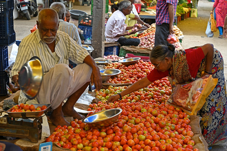 Giá cà chua tăng chóng mặt ở Ấn Độ - Ảnh: AFP