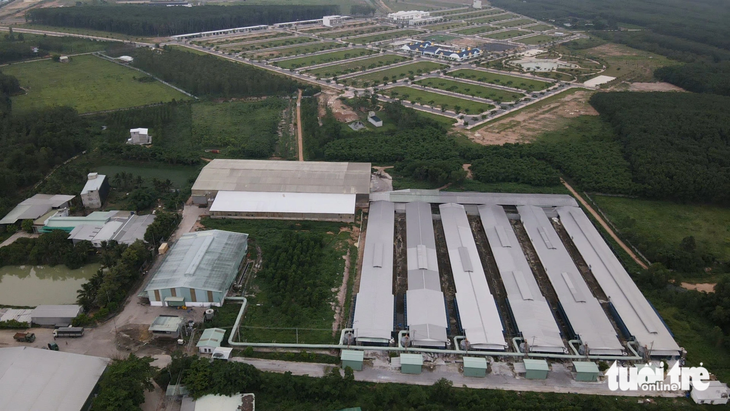 Một trang trại chăn nuôi gà cạnh khu dân cư và cụm công nghiệp Nam Hà ở huyện Đức Linh, Bình Thuận - Ảnh: ĐỨC TRONG