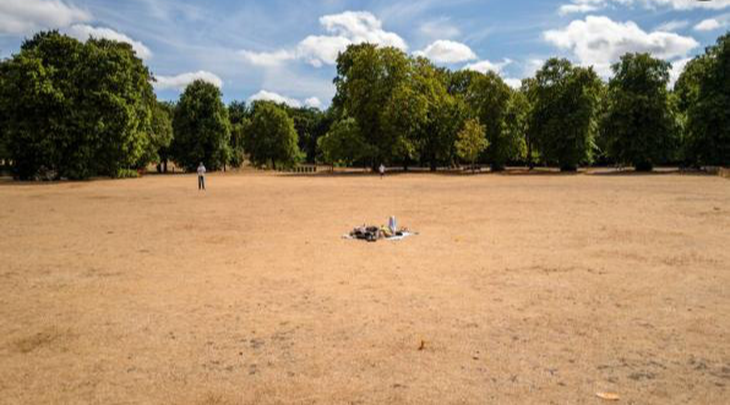 Cỏ khô tại một công viên ở London trong đợt hạn hán năm 2022 - Ảnh: BLOOMBERG