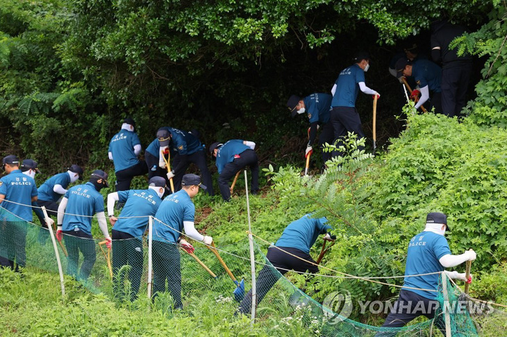 Lực lượng cảnh sát đang tìm kiếm một bé sơ sinh bị mẹ giấu xác hồi tháng 2-2015 trên một quả đồi ở huyện Gijang, thành phố Busan, Hàn Quốc - Ảnh: YONHAP