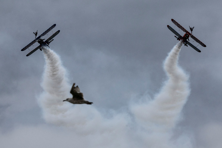 Một con chim bay ngang qua trong lúc hai thành viên của đội nhào lộn AeroSuperBatics đang biểu diễn đi trên cánh máy bay. Đây là một trong những màn trình diễn ấn tượng tại triển lãm hàng không thường niên ở thị trấn Bray, Ireland hôm 30-7. Ảnh: Reuters