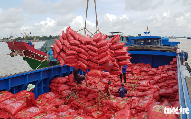 Cục trưởng Cục Trồng trọt: Đây là thời cơ xuất khẩu gạo, không tranh thủ sẽ bị lỡ