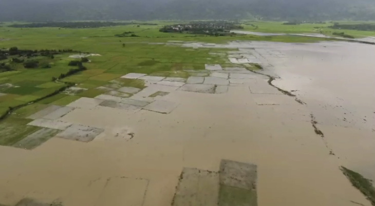 Cánh đồng lúa ở huyện Lắk và huyện Krông Ana (Đắk Lắk) bị nước lụt tràn từ sông vào - Ảnh: TRUNG TÂN