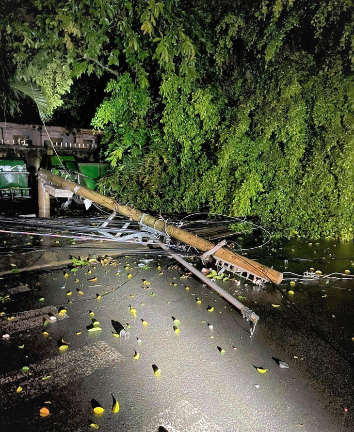 Lốc xoáy làm gãy cây xây gây đổ cột điện Đồng Xoài, tỉnh Bình Phước- Ảnh: Cty cung cấp